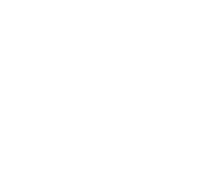 Leminex logo
